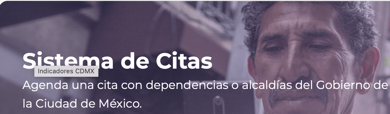 SEMOVI official platform to schedule a permanent license appointment.